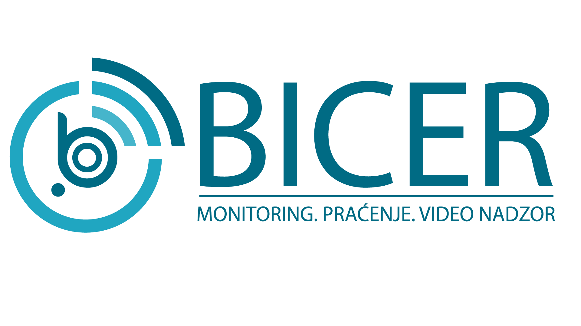 Bicer Consulting